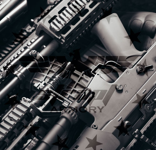 Punisher Categories - Rifles