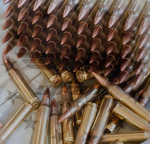 Punisher Categories - Ammo