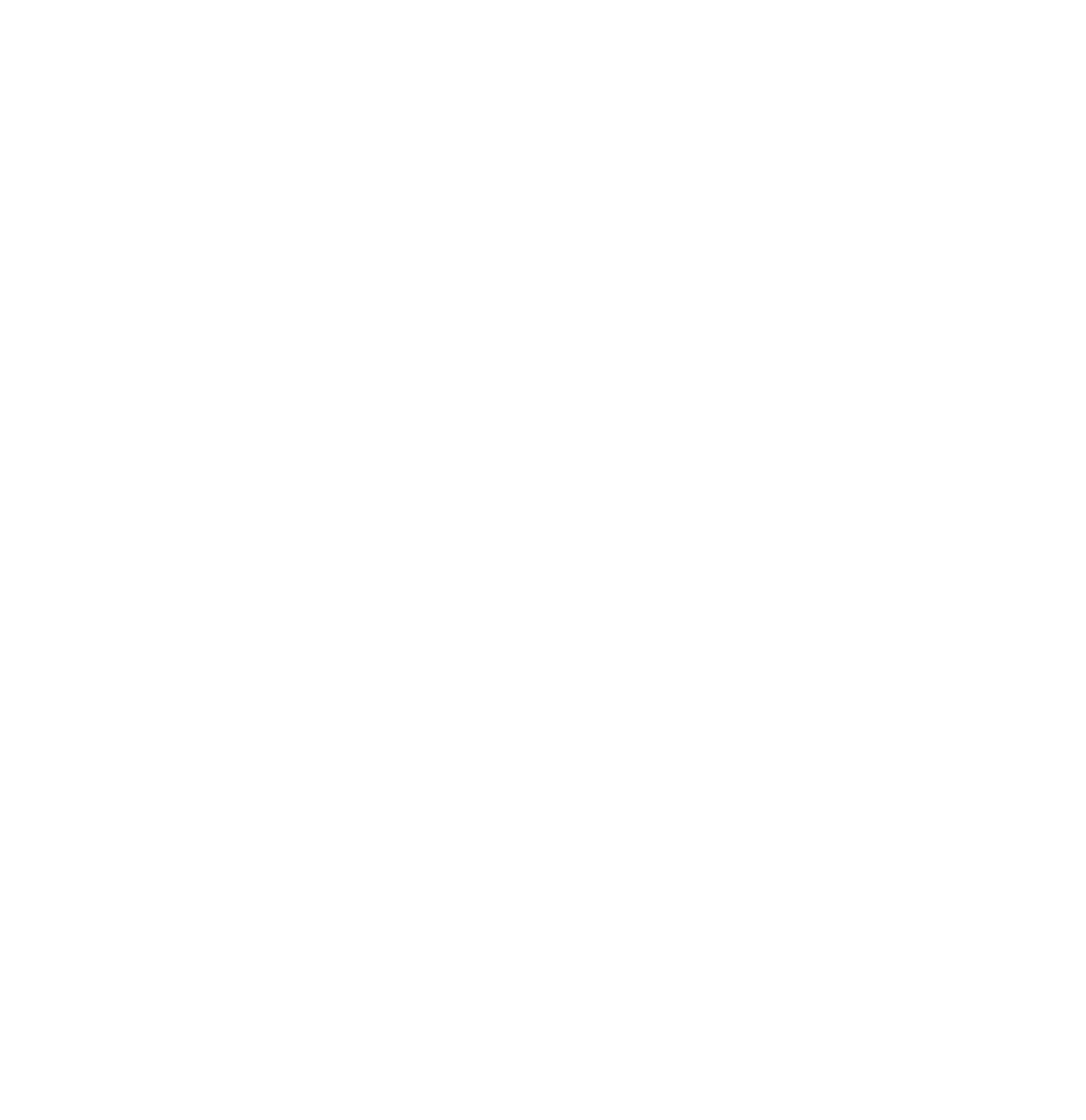 SD Logo Gray With Name (White)