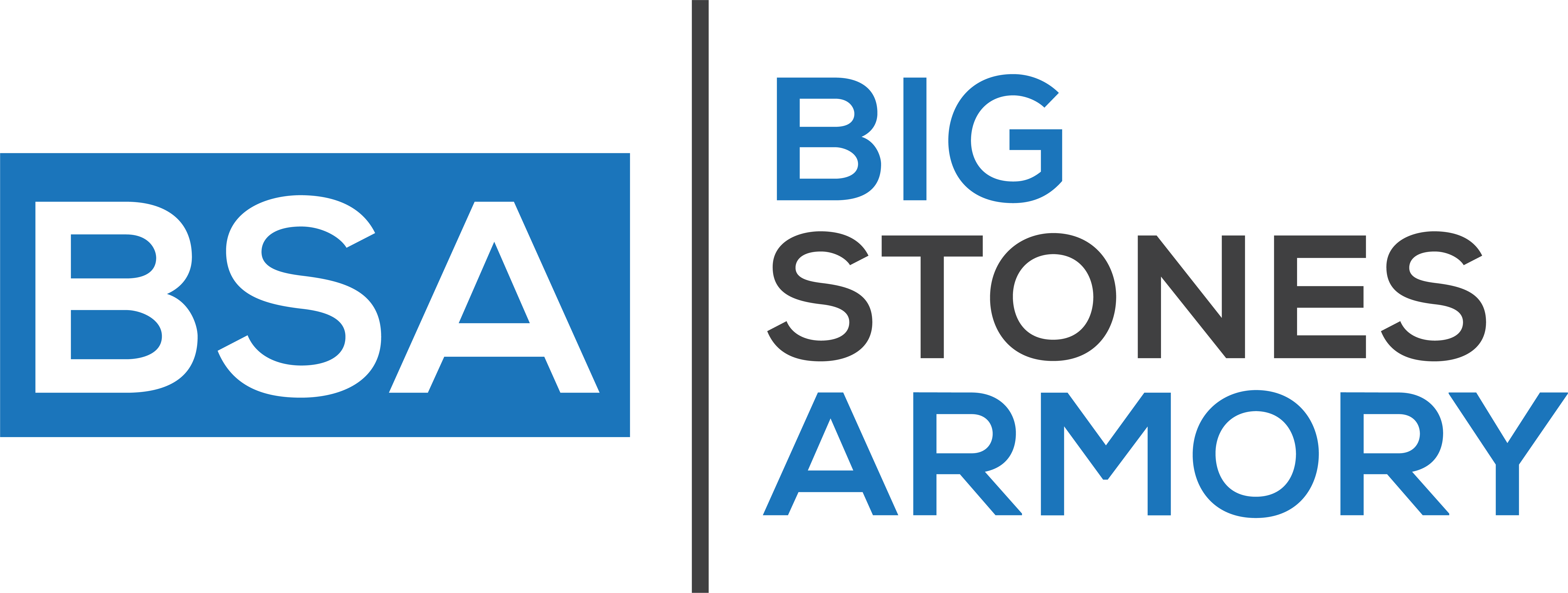 BSA LOGO.png