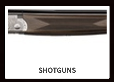 Rally Point Categories - Shotguns