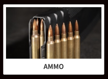 Rally Point Categories - Ammunition