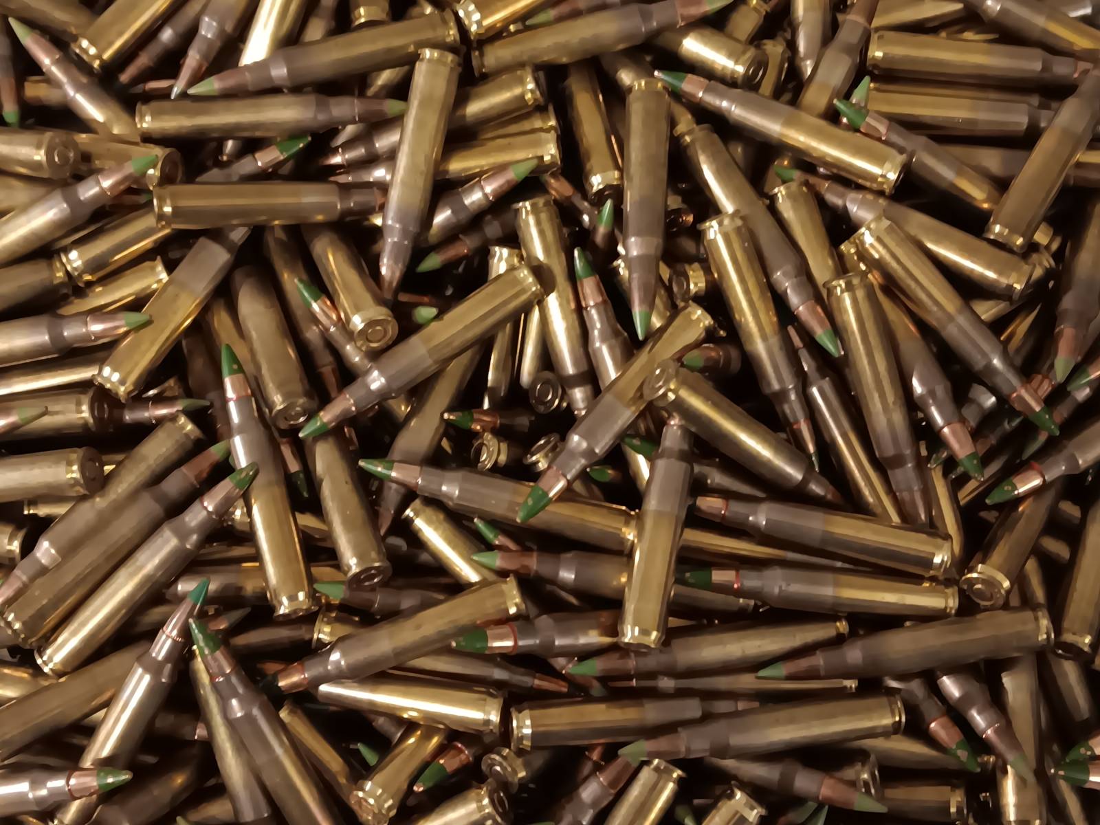 Fierce Monkey Tactical - Ammo