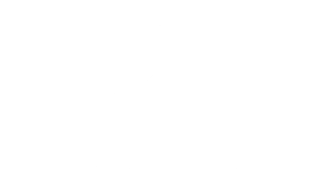 transparent_logo (1).png