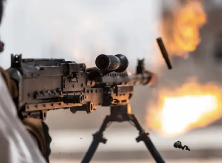 Fierce Monkey Tactical - Rifles