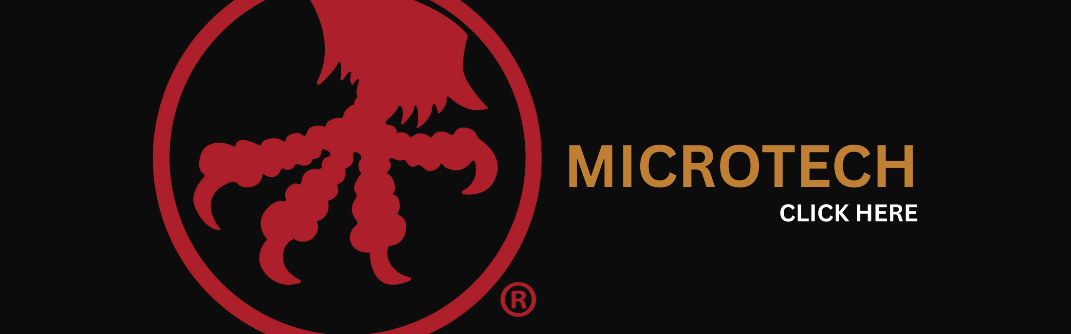 Microtech Banner