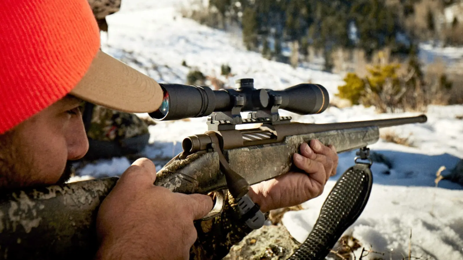 Gun ownership trends