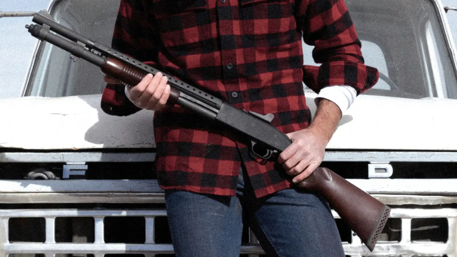 Reasons for owning guns