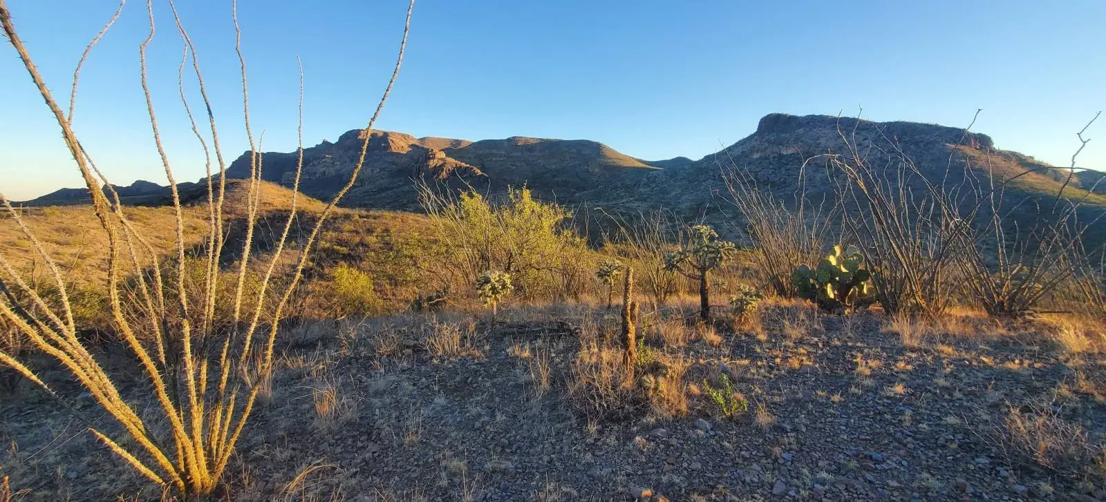 Roger and Guy - Join Our Community