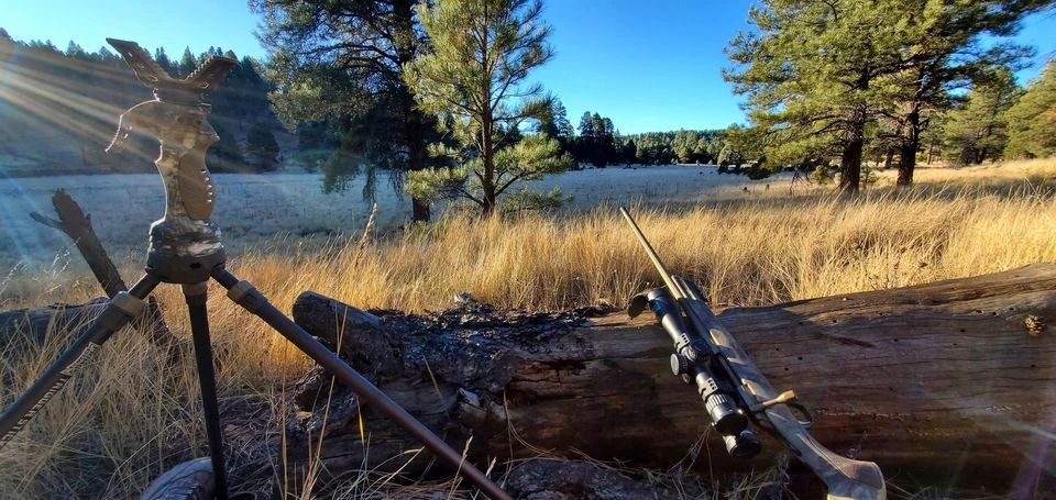 Roger and Guy - Main Banner 1