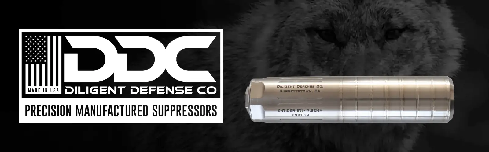 1.1 Punisher Retail Home - Banner