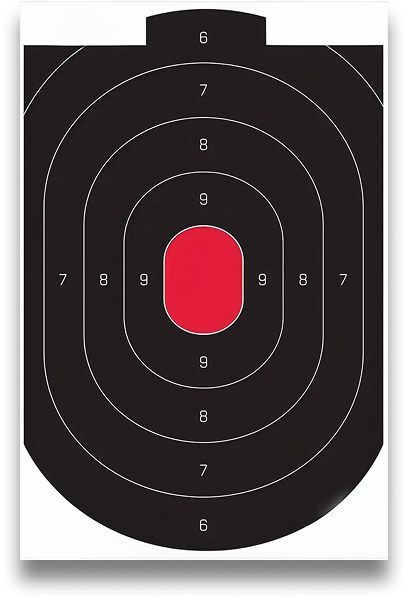 Punisher Categories - Training