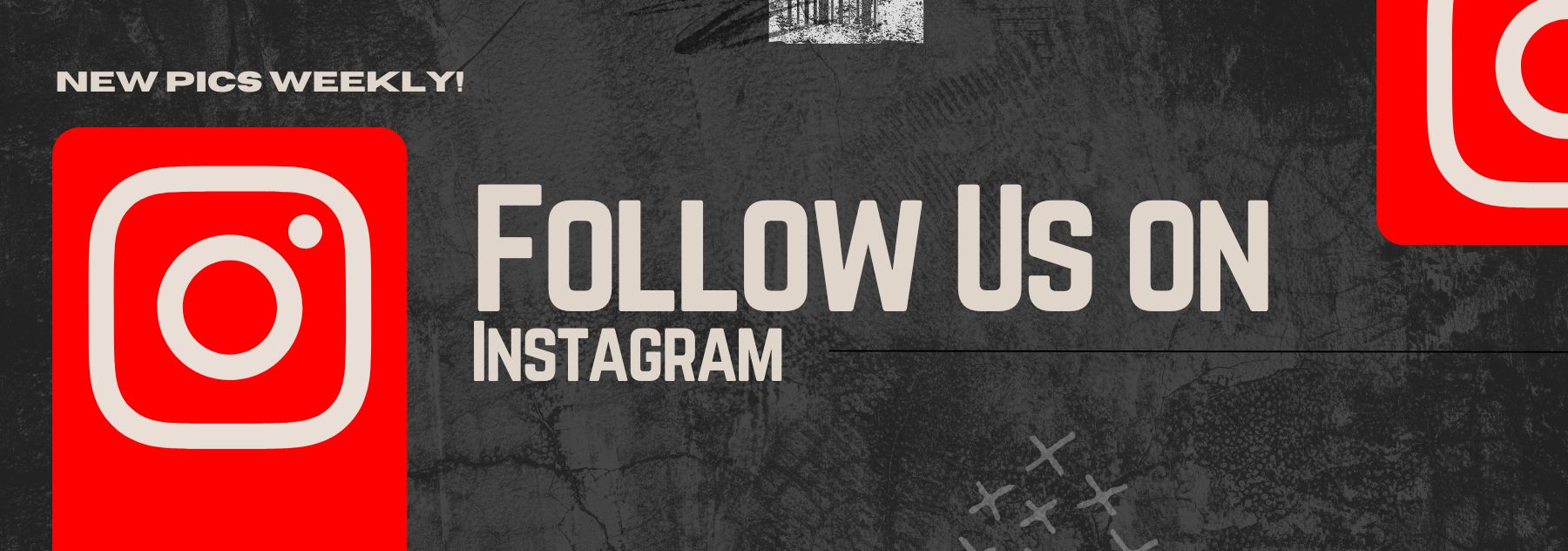 Follow Us Insta