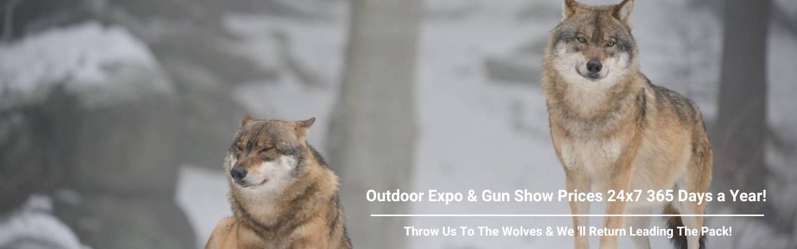 Punisher Retail Banner 100 - Wolves